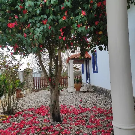 Fazenda Do Marante * Tomar