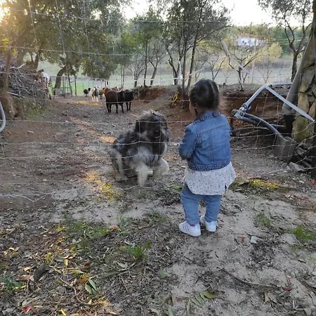 Fazenda Do Marante