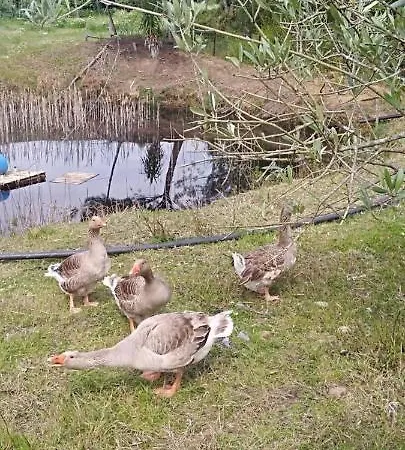 Hostel Fazenda Do Marante *