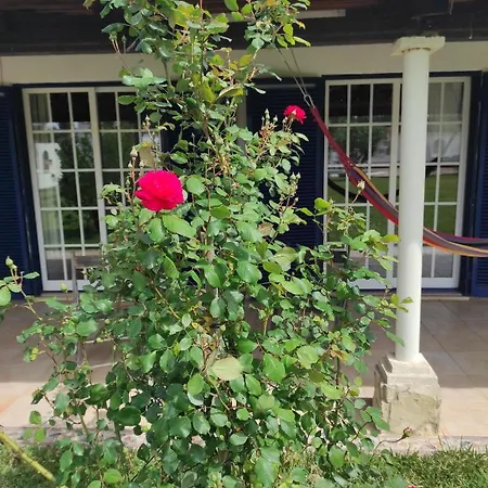 אכסניה Fazenda Do Marante *