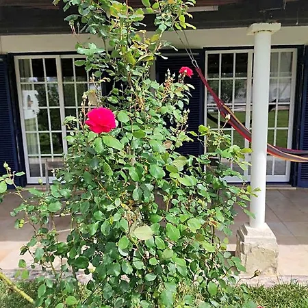 Fazenda Do Marante
