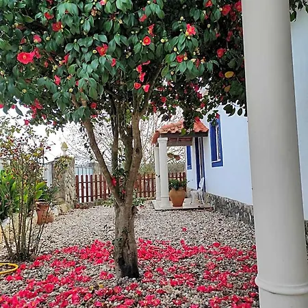 Fazenda Do Marante Ostello Tomar