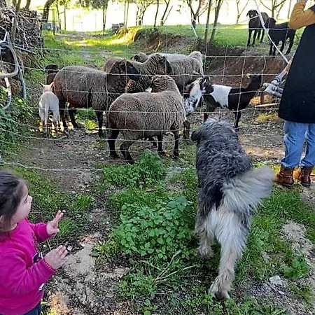 Ostello Fazenda Do Marante *