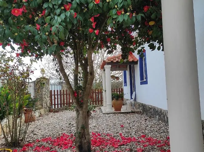 Fazenda Do Marante * Tomar