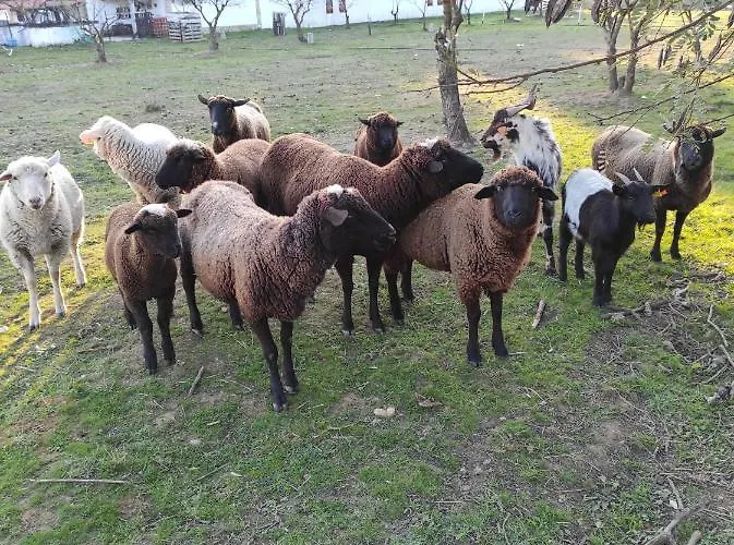 Fazenda Do Marante Tomar