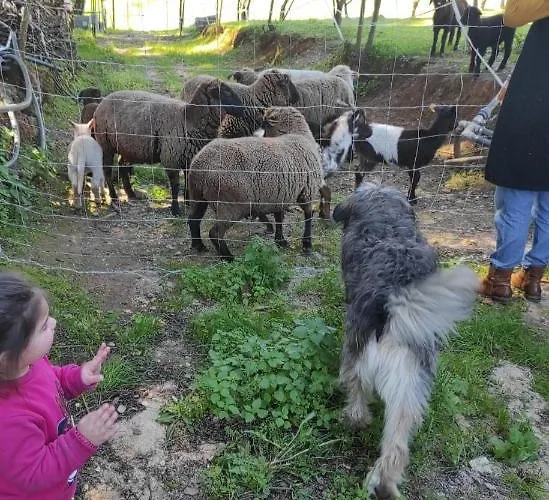 Fazenda Do Marante Albergue *