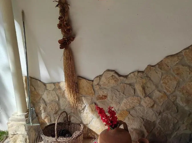 Fazenda Do Marante * Tomar