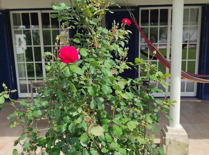 Albergue Fazenda Do Marante *